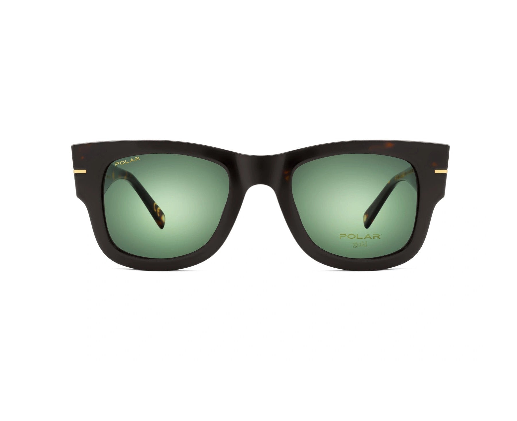 Polar Gold 64 Clip One – Havana / Vert Polar