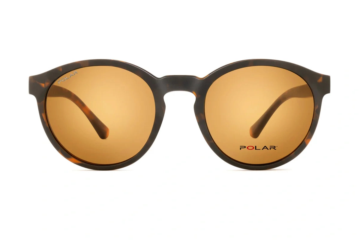 Polar 603 Clip One – Havana Marron Polar