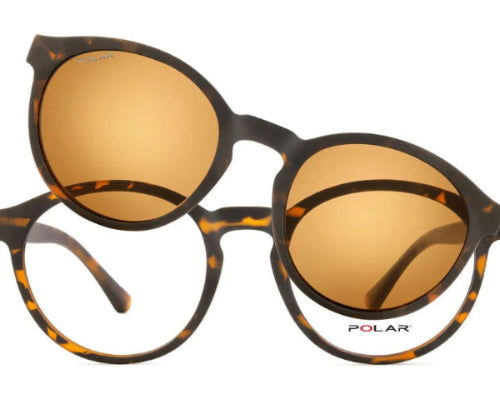 Polar 603 Clip One – Havana Marron Polar