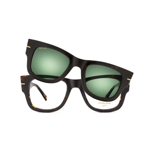 Polar Gold 64 Clip One – Havana / Vert Polar