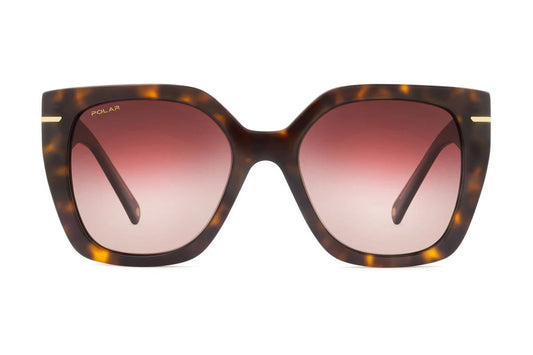 Polar Gold 3022 – Havane Polar